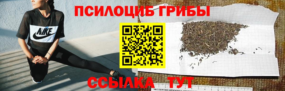 Галлюциногенные грибы Psilocybine cubensis  Вход с VPN  Надым 